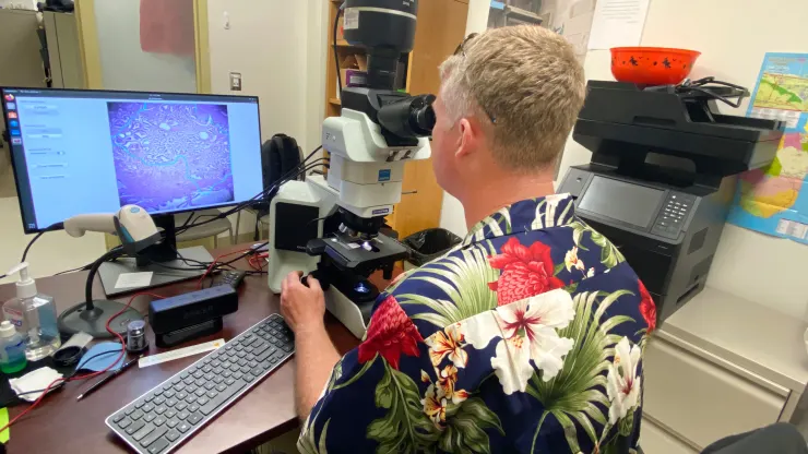 Google et le Pentagone ont mis au point un microscope basé sur l'intelligence artificielle pour le diagnostic du cancer-4 Google et le Pentagone ont mis au point un microscope basé sur l'intelligence artificielle pour le diagnostic du cancer-4
